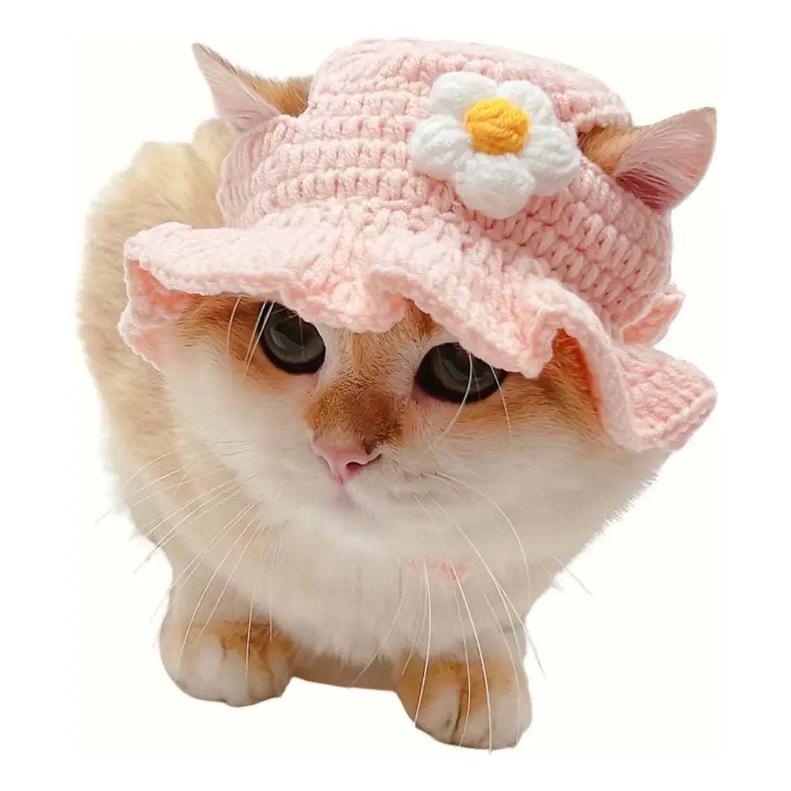 Gorro Sombrero Tejido para Gatos y Perros – Accesorio Divertido para Mascotas