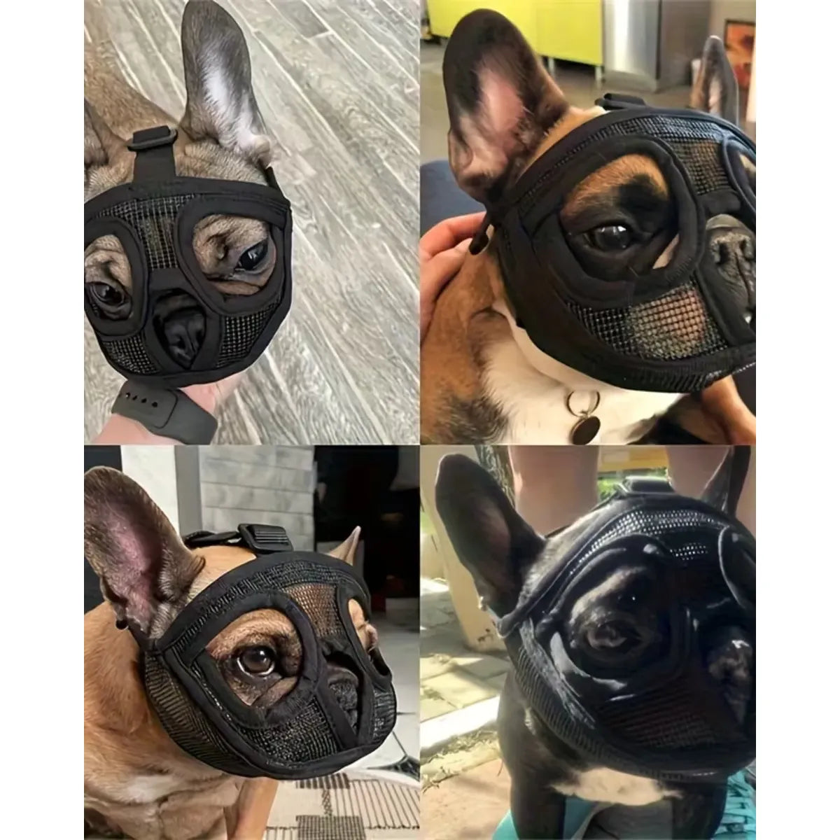 Bozal Antimordeduras Perro Chato Bulldog Pug Ajustable