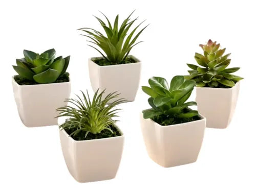 Set de 5 Plantas Suculentas Artificiales en Maceta Pequeña