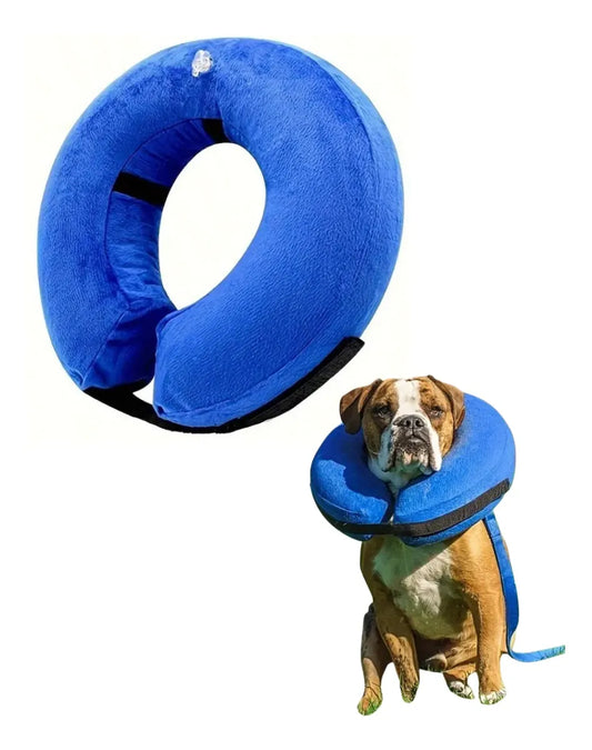 Cono Hinchable Protector Isabelino Para Perro Y Gato