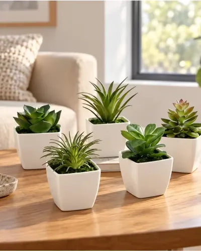 Set de 5 Plantas Suculentas Artificiales en Maceta Pequeña