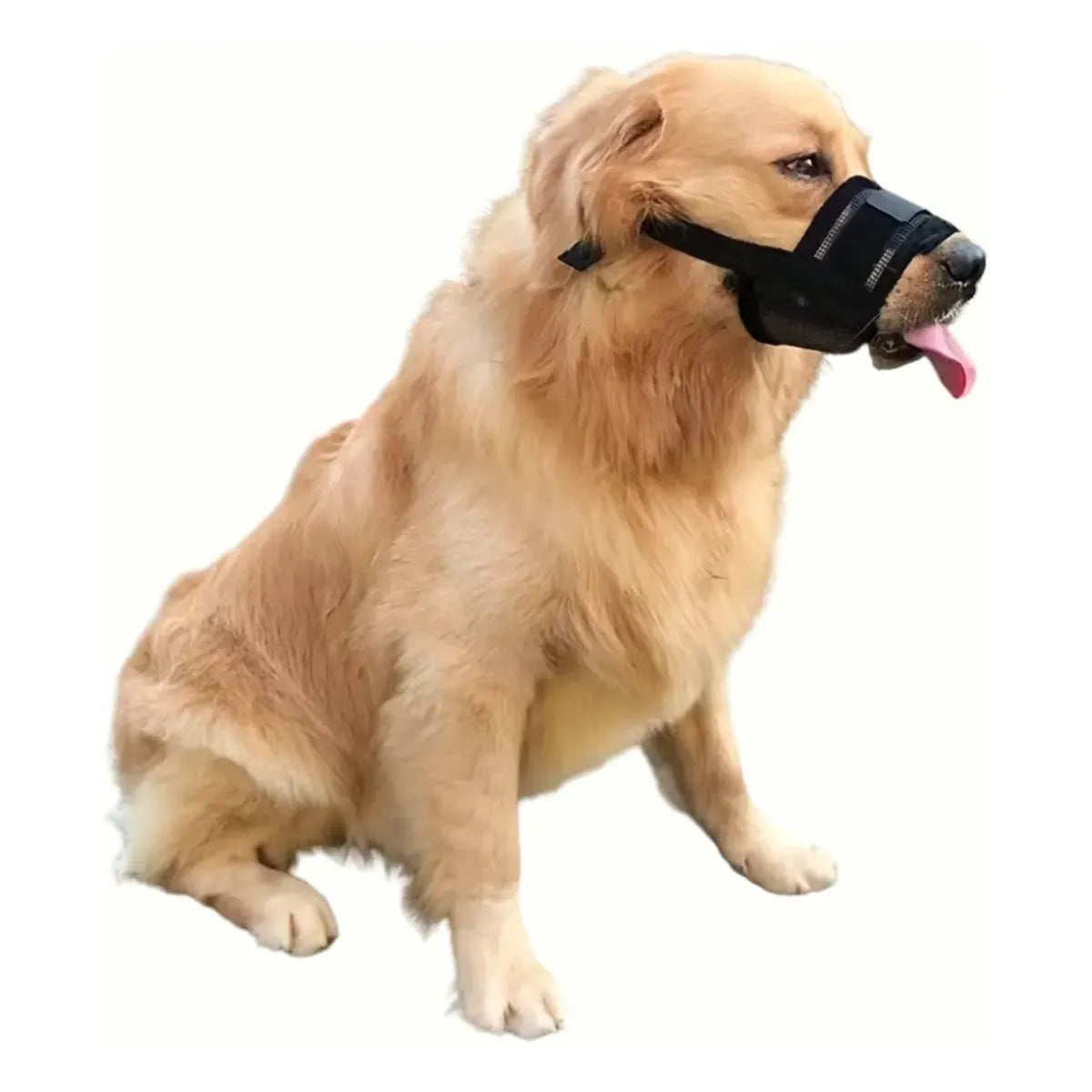 Bozal Ajustable para Perros Medianos y Grandes