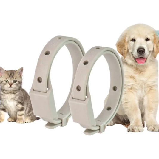 Collar Repelente Natural de Pulgas y Garrapatas para Mascotas – Ajustable