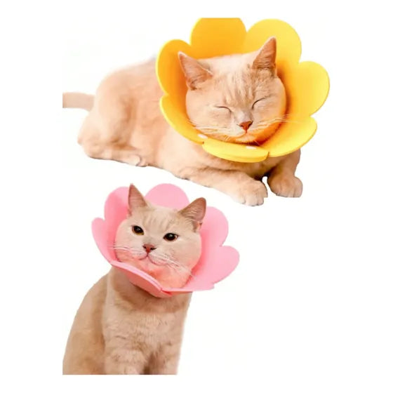 Collar isabelino protector con diseño de flor para mascotas