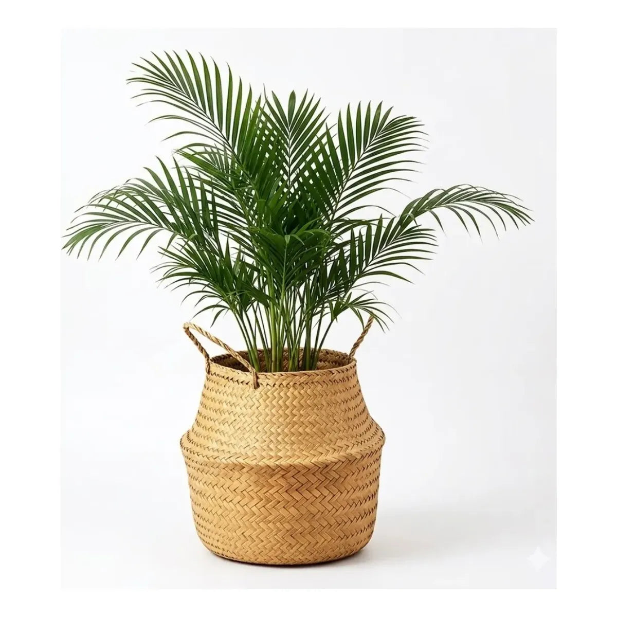 Canasto de Ratán Maceta Decorativa – Cesta Tejida en Mimbre