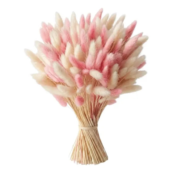Ramo de 102 varas de flores secas cola de conejito para decoración